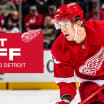 Red Wings recall Matt Luff from Griffins