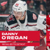 Red Wings recall Danny O'Regan from Griffins under emergency conditions