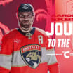 Journey to the NHL: Aaron Ekblad