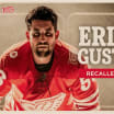 Red Wings recall Erik Gustafsson from Grand Rapids 