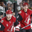 Arizona Coyotes 2016-17 season recap