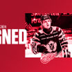 Red Wings agree to terms with Jonatan Berggren on entry-level deal