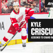 Detroit assigns Kyle Criscuolo to Grand Rapids