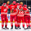 Detroit Red Wings haben ihre Lektionen gelernt
