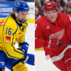 Jonatan Berggre, Samuel Fagemo och Filip Bystedt heta i AHL