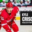 Red Wings recall Kyle Criscuolo from Griffins