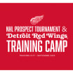 NHL Prospect Tournament and Red Wings Training Camp in Traverse City