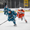 Sharks recall forward Ethan Cardwell from San Jose Barracuda