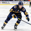 Matthew Schaefer | Prospect Profile