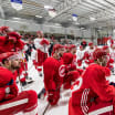 Red Wings trim roster by 13