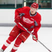 Red Wings sign forward Christoffer Ehn to entry-level contract