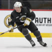 Vegas Golden Knights Announce Roster and Schedule for 2025 Development Camp