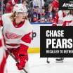 Red Wings recall Chase Pearson from Griffins