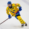 Švéd Fagemo bojuje v AHL o titul krále střelců