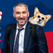 Washington Capitals to Host Caps Canines Night Pawsented by PEDIGREE Foundation on Dec. 18