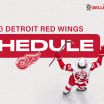 Red Wings release 2022-23 regular-season schedule