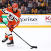 Ducks : Contrat de deux ans pour Hinds