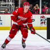 Red Wings recall Renouf from Griffins