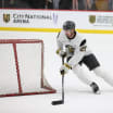 VGK Prospect Questionnaire: Matyas Sapovaliv