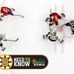 Need to Know: Bruins at Panthers | Game 2