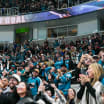 Sharks to host back-to-back celebrations at SAP Center this week