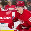 Red Wings assign Elmer Soderblom to Griffins