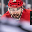 Red Wings recall Luke Witkowski from Grand Rapids