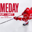 PREVIEW: Red Wings host Sabres Thursday for Tigers Night