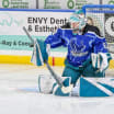 Thunder a vital tool for Sharks' development