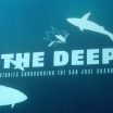 The Deep: David Quinn