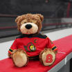 Brickley Bears to be available for purchase Tuesday night at Canadian Tire Centre