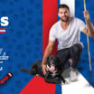 Capitals to Host Caps Canines Night Pawsented by PEDIGREE Foundation Jan. 14