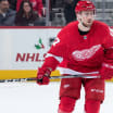 Hronek recalled by Red Wings