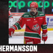 Hermansson | DRAFT 6.8.26