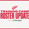 Red Wings trim roster by nine