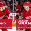 Red Wings recall Jakub Vrana from Grand Rapids