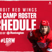 Red Wings release 2020-21 training camp roster and daily schedule