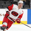 Poolers hausse baisse Svechnikov Miller Schmaltz Schmid Doughty Wolf