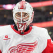 Red Wings : Lyon de retour au jeu mercredi