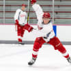 Red Wings Prospects Take Over Traverse City