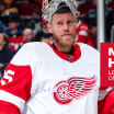 Red Wings assign Magnus Hellberg to Griffins for conditioning