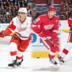 Red Wings assign four to Griffins