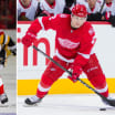 Red Wings recall Wade Megan; Joe Hicketts assigned to Grand Rapids