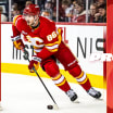 Projected Lineup - Flames vs. Panthers - 20.03.26