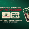 MINNESOTA WILD FOUNDATION ANNOUNCES CHANGES TO CHARITABLE GAMBLING INITIATIVES 022626