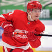 Red Wings Wrap-Up: Namestnikov earns role as key player in crunch time