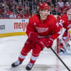 Detroit Red Wings Preseason Vorschau 2024-25 