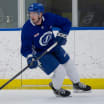 LIGHTNING ASSIGN D MAX CROZIER TO AHL SYRACUSE AND RELEASE F LOGAN BROWN FROM PTO