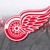 Red Wings shut down through holiday break