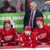 Todd McLellan will nicht Lorbeeren fuer Aufschwung der Detroit Red Wings